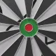 Дартс DFC METAL двусторонний 45 см, 6 дротиков
